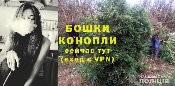 эйфоретик Анжеро-Судженск