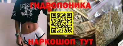 дживик Гатчина