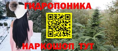 дживик Гатчина