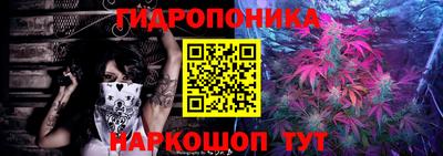 амф Гай