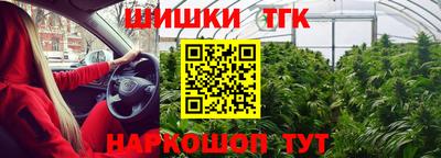 дживик Гатчина