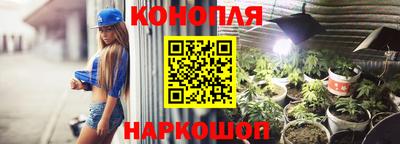 мяу мяу мука Будённовск