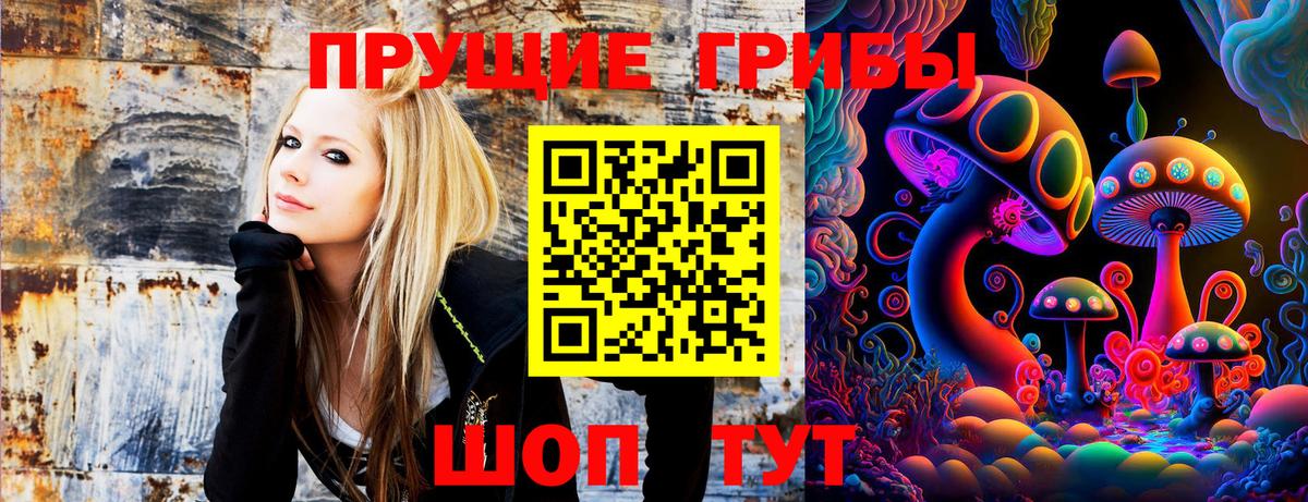 Камень-на-Оби  Галлюциногенные грибы прущие грибы  Вход с VPN 
