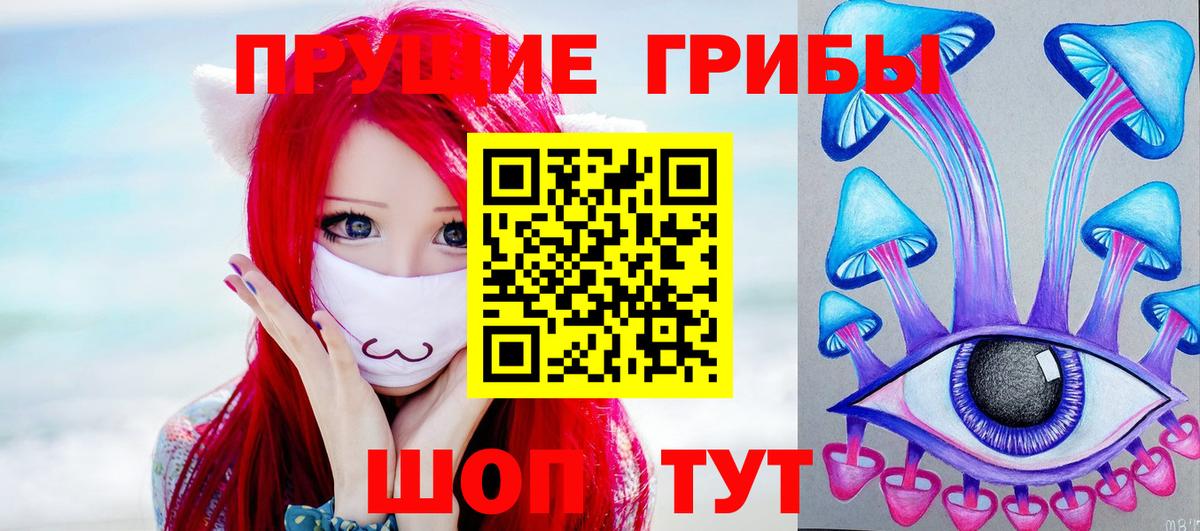 Псилоцибиновые грибы GOLDEN TEACHER Камень-на-Оби