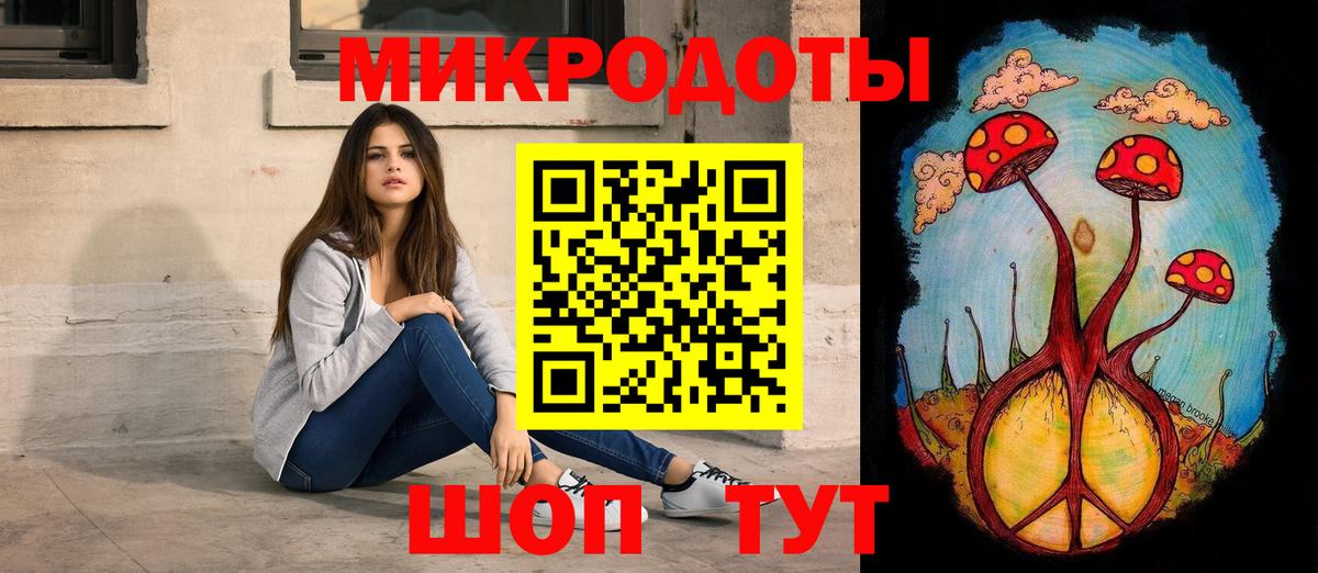 Галлюциногенные грибы ЛСД  Псилоцибиновые грибы Psilocybe  Камень-на-Оби 