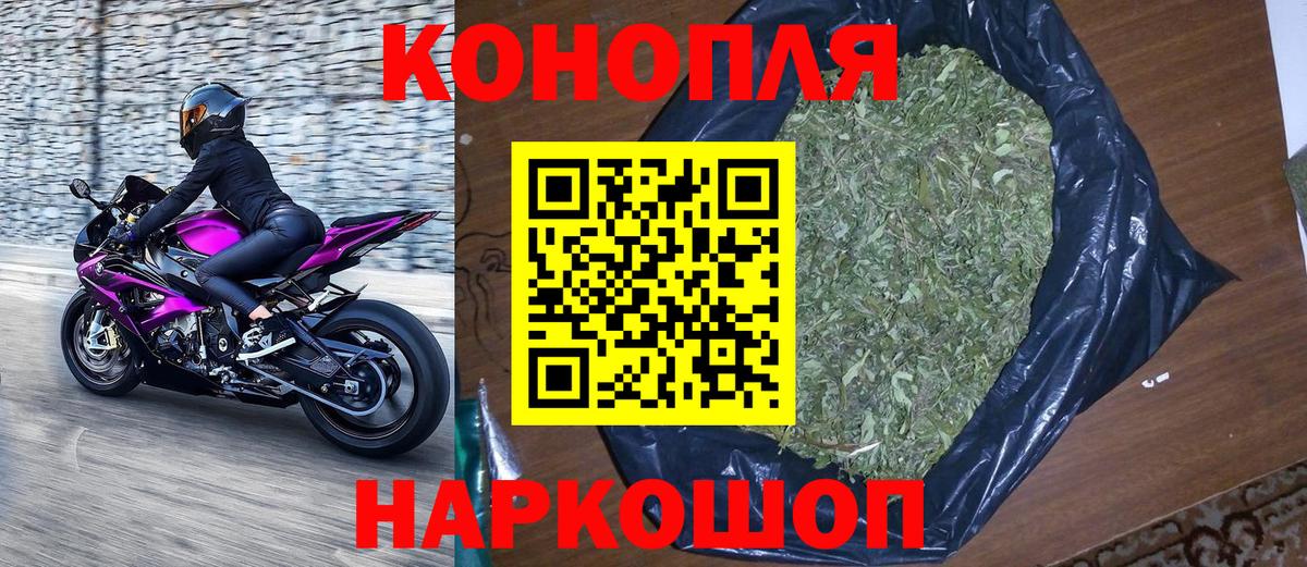 Камень-на-Оби  МАРИХУАНА план  Шишки марихуана MAZAR  Вход с VPN 